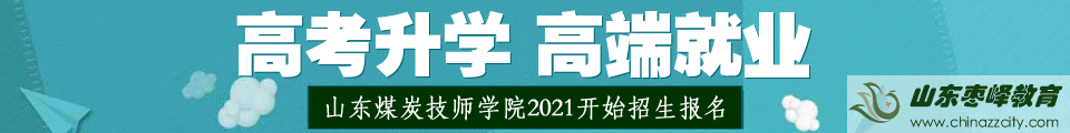 山東煤炭技師學院2021招生簡章